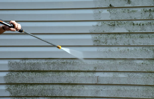 Best Building Exterior Pressure Washing in Nutter Fort, WV