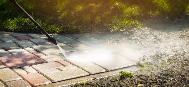 Best Soft Washing for Delicate Surfaces in Nutter Fort, WV